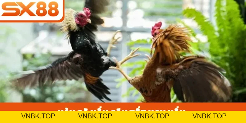 Dàn Đề Bất Tử - Chiến Thuật Tối Ưu Lợi Nhuận Tại SX88